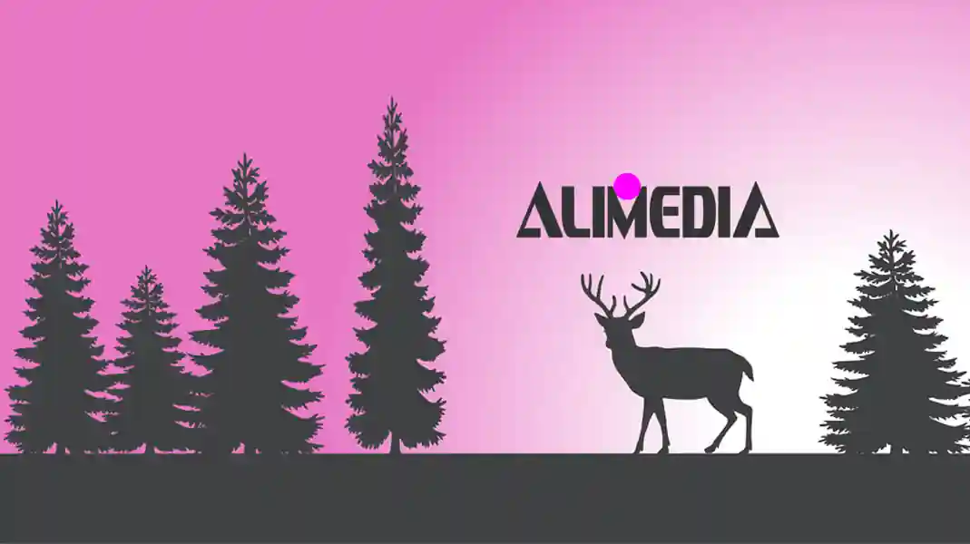 ALIMEDIA