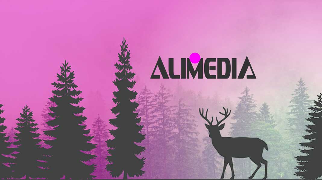 ALIMEDIA
