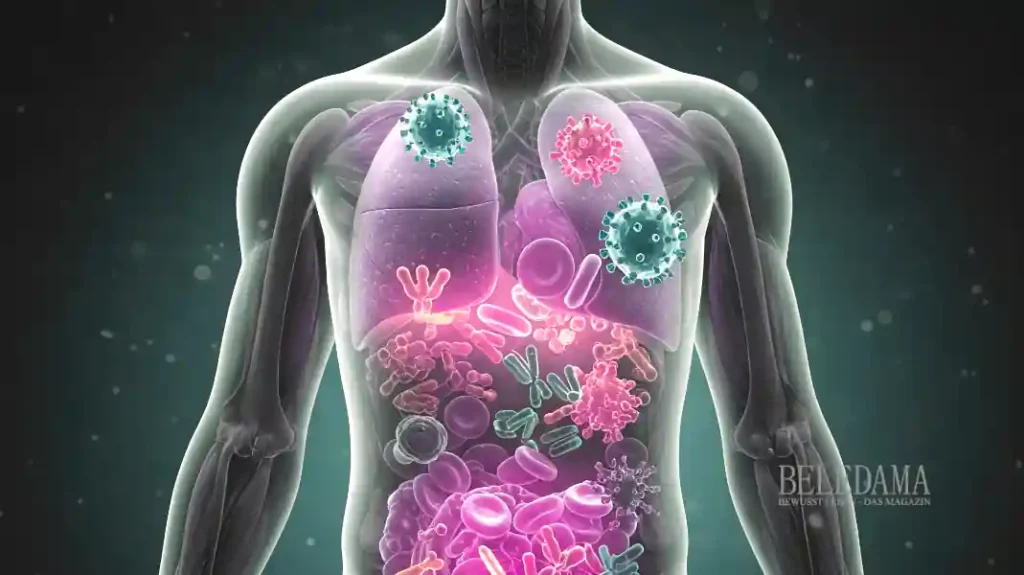 Immunsystem des Menschen