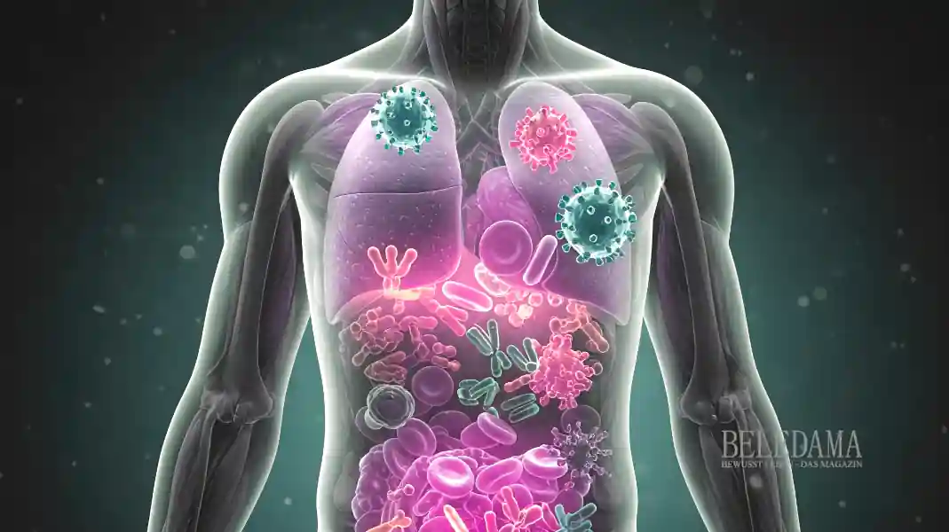 Immunsystem des Menschen